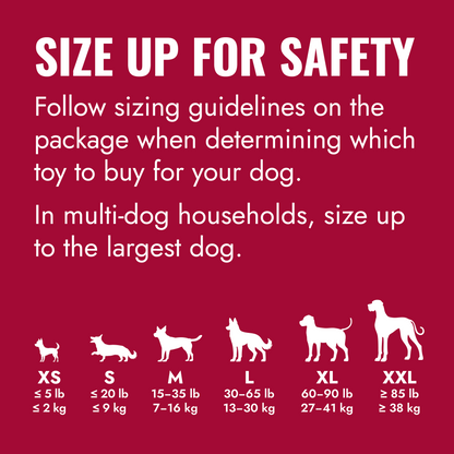 KONG Classic Dog Toy – Small