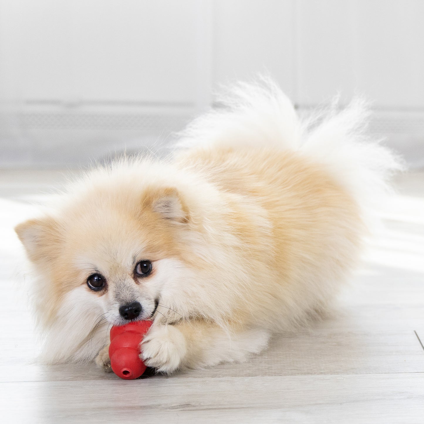 KONG Classic Dog Toy – Small