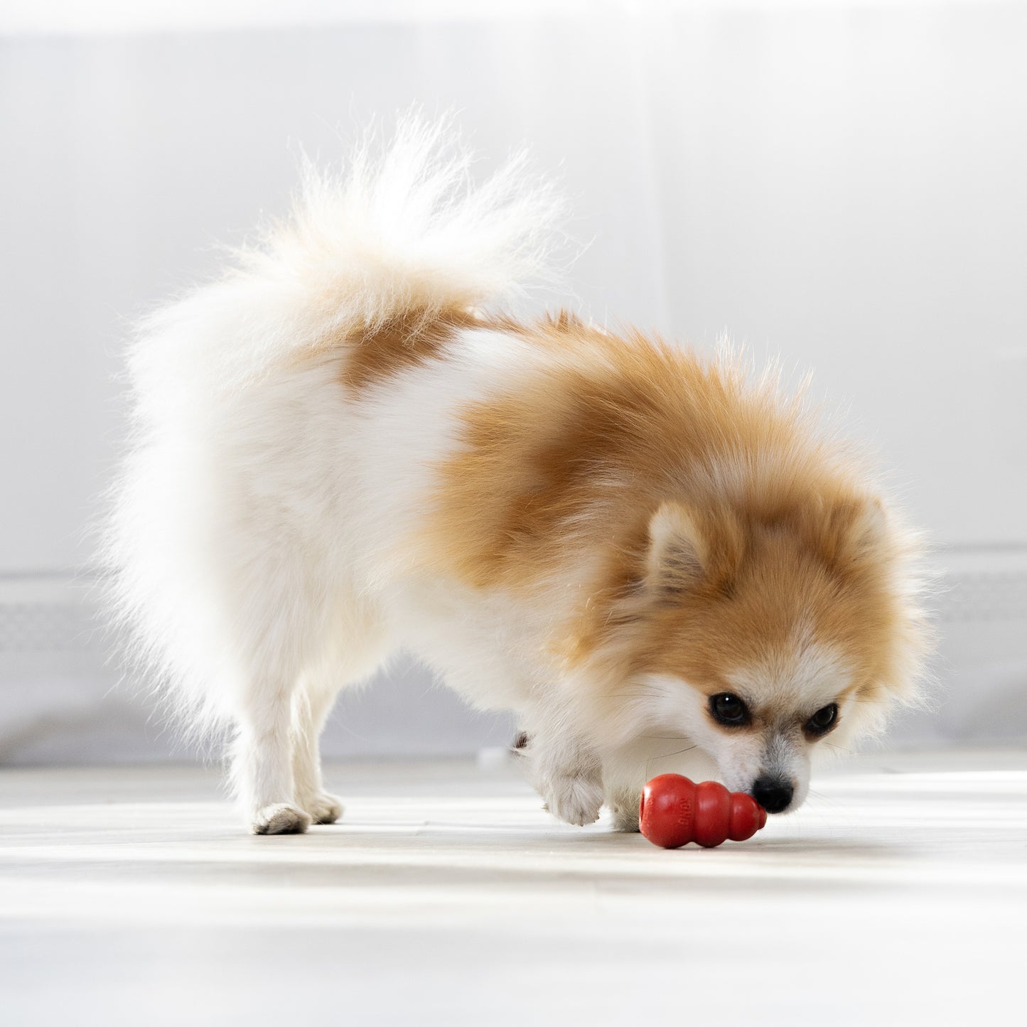 KONG Classic Dog Toy – XS