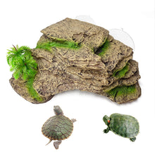 Turtle Basking Platform