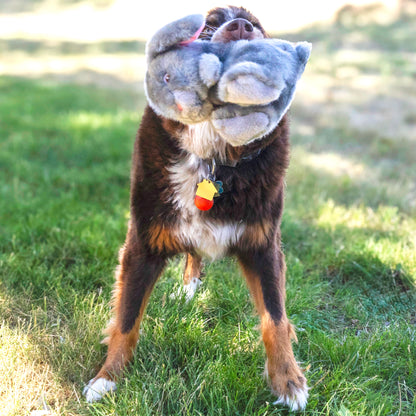 KONG Toughz Bunny Dog Toy – Medium
