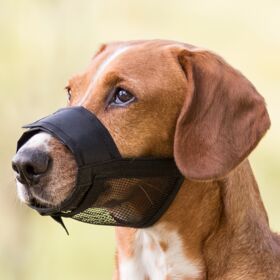 Trixie Muzzle Loop With Net Insert For Dogs L-XL