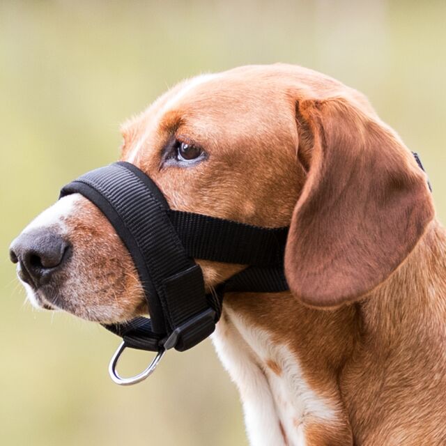 Trixie Dog Muzzle Loop M-L black