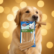 Trixie Denta Fun Dentros with Chicken Dog Treats – Chicken Dental Chews for Teeth & Fresh Breath