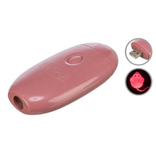 Trixie Catch The Light LED Pointer, Mouse USB Cat Activity Toy