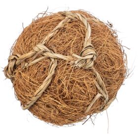 Trixie Coconut Ball Toy For Small Animals
