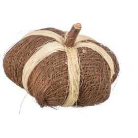 Trixie Coconut Toy Pumpkin For Small Animals