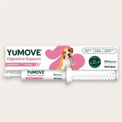 YuMOVE Digestive Care Rapid Pre & Probiotic Paste for Medium Dogs 16 - 30kg