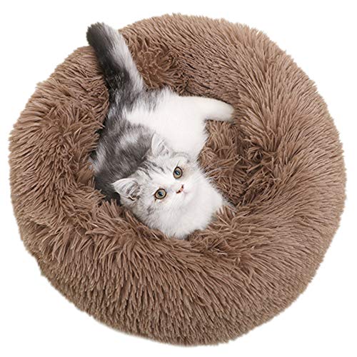 CLEARANCE - Round Cat Bed