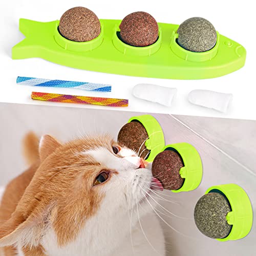 CLEARANCE - Rotatable Catnip Edible Wall Balls Cat Toy green