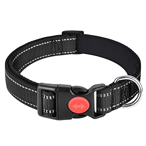 CLEARANCE - Katoggy Basic Dog Collar black