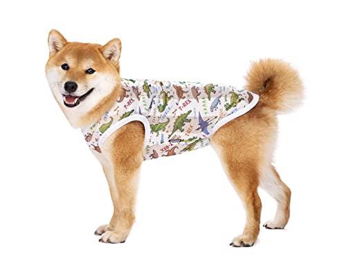 CLEARANCE - Dinosaur Design Dog T Shirt L