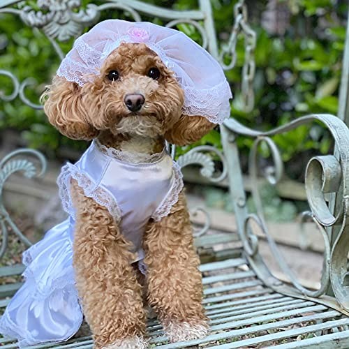 CLEARANCE - Dog Wedding Dress with Headband XS