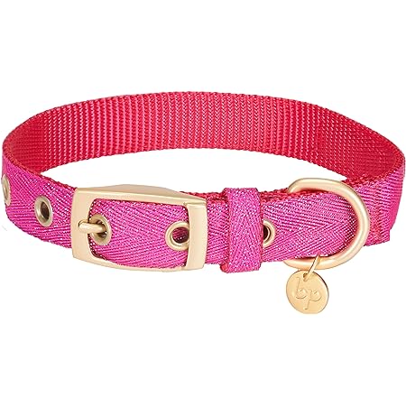 CLEARANCE - Blueberry Pet Buckle Dog Collar 33-42cm. Rose