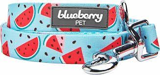 CLEARANCE - Blueberry Pet Strong Dog Lead Melon