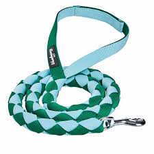 CLEARANCE - Blueberry Pet Strong Dog Lead 4ft.