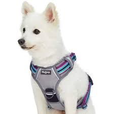 CLEARANCE - Blueberry Pet Padded Dog Harness Violet & Cerise medium