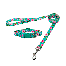 CLEARANCE - Olahibi Daisy Pattern Dog Collar & Lead Set small green