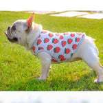CLEARANCE - Strawberry Design Dog T Shirt 36