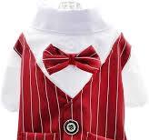 CLEARANCE - YAODHAOD Striped Tuxedo Suit with Shirt & Tie Dog Costume Red L