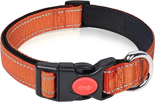 CLEARANCE - Katoggy Basic Dog Collar orange