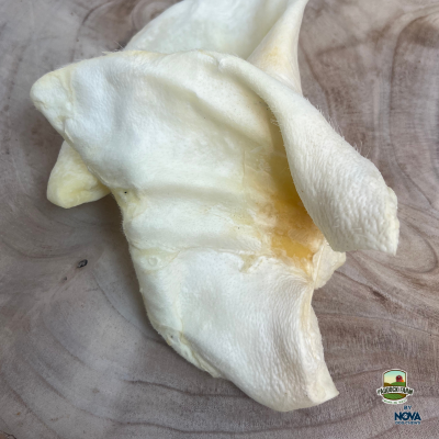 Nova Puffed Pig's Ears Dog Treats – Natural Low Fat Dog Chews