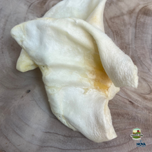 Nova Puffed Pig's Ears Dog Treats – Natural Low Fat Dog Chews