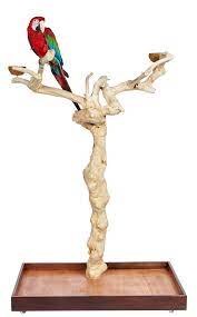 Sky Pets Java 11 Tree large Bird perch stand