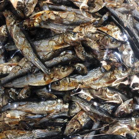 Stack of dried fish with a dark background