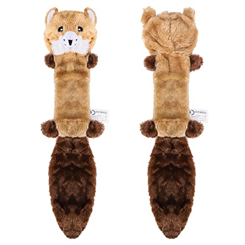 CLEARANCE - Squeaky Raccoon Soft Dog Toy (1piece)