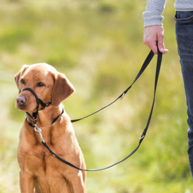 Trixie Top Trainer Dog Training Harness small. Snout strap 22cm.