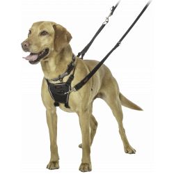 Halti No Pull Dog Harness medium