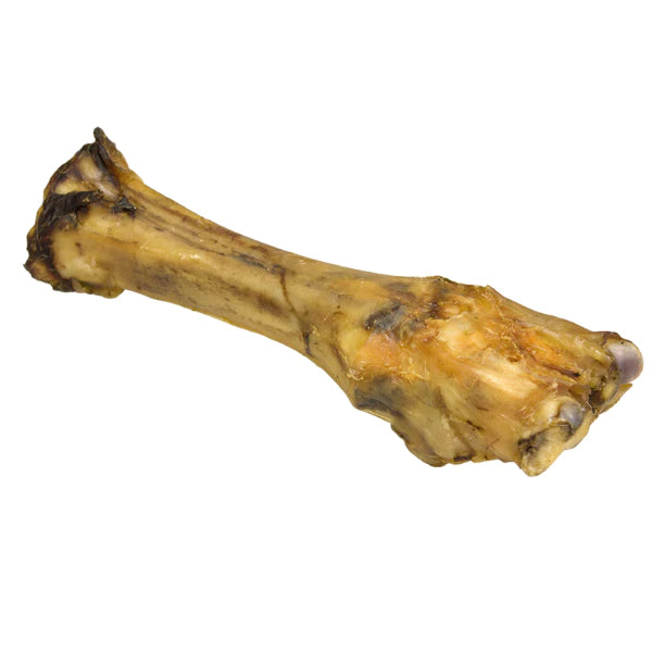 Burns Beef Shin Bone Dog Treat