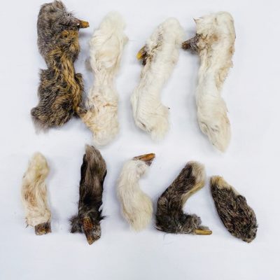 Burns Rabbits Foot Dog Treat