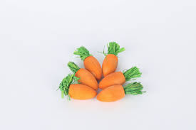 Sky Pets Carrot Treat 6x2.5cm. each Pack of Six for Small Animals